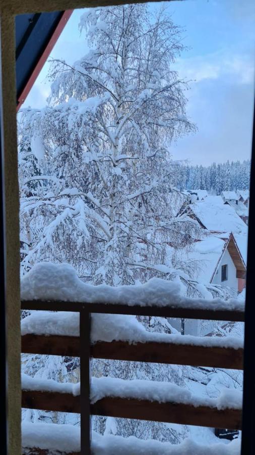 Borovnica Sweet Apartments Žabljak エクステリア 写真