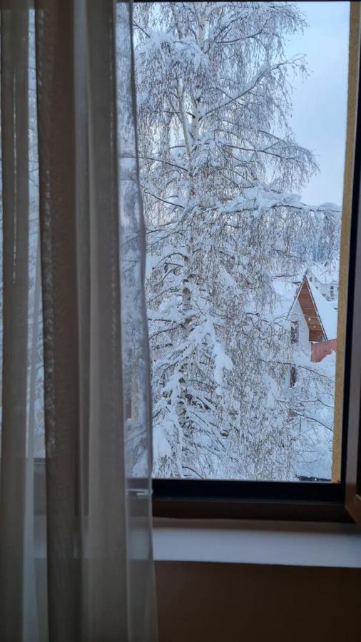 Borovnica Sweet Apartments Žabljak エクステリア 写真
